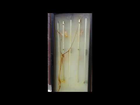 Процесс копчения в электростатической камере